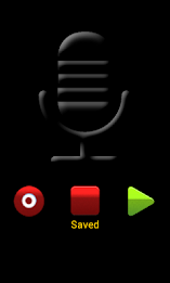 Voice Recording poster 3