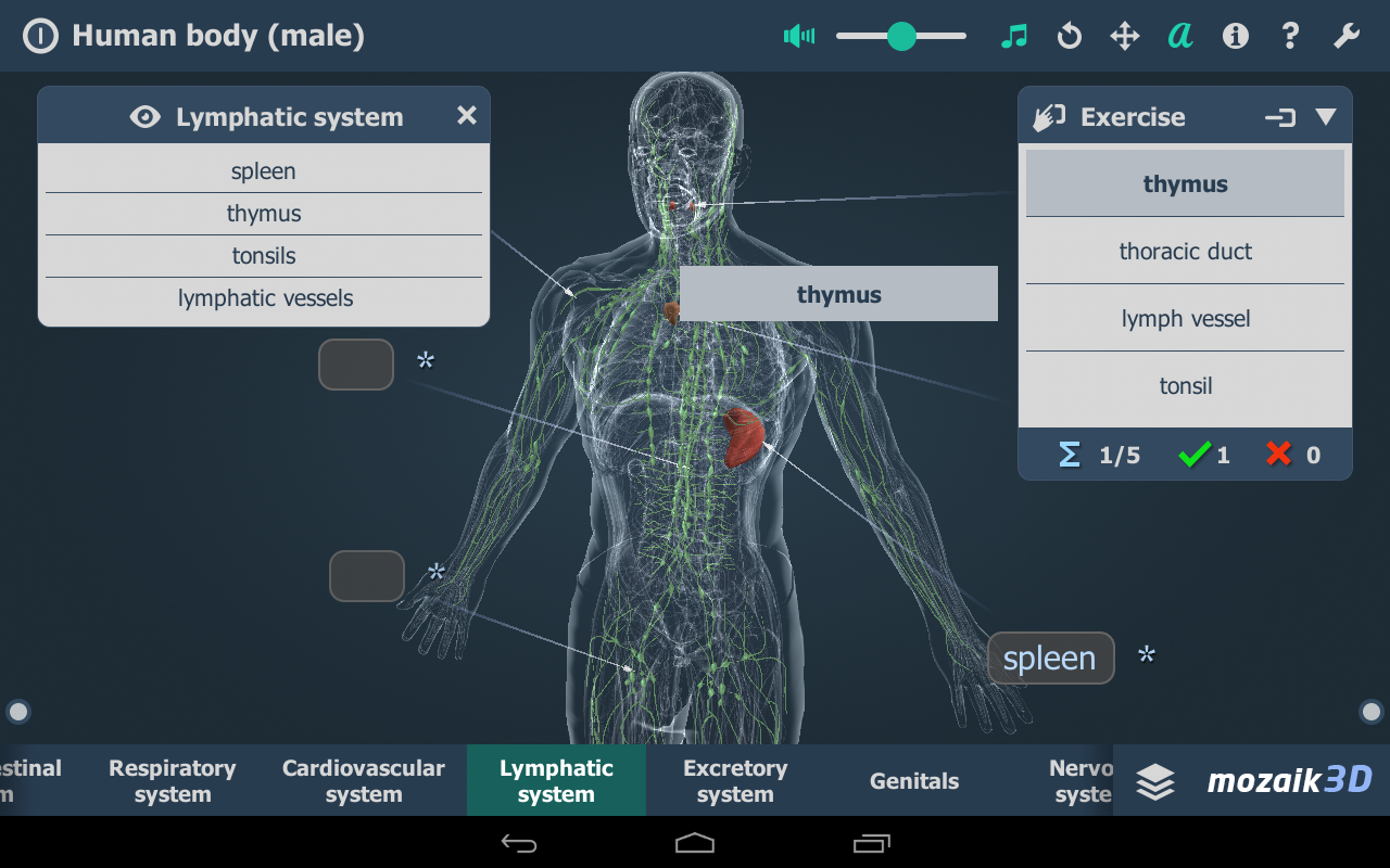 Human body (male) educational VR 3D Android Apps on Google Play