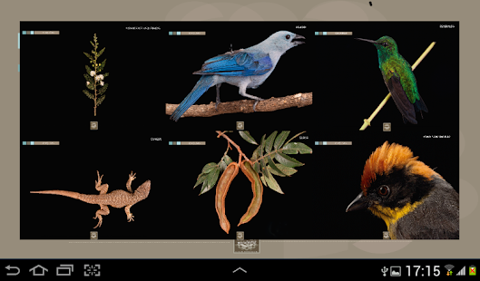 Download Parques de Quito APK