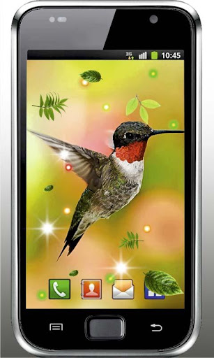 【免費個人化App】Colibri Sunset live wallpaper-APP點子