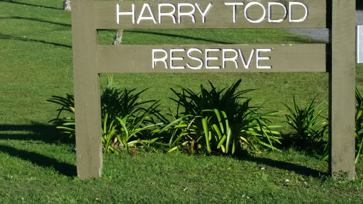 Harry Todd Reserve