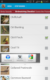 Spanish Birds Sounds(圖3)-速報App