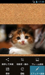 Lastest SHACONV APK for Android