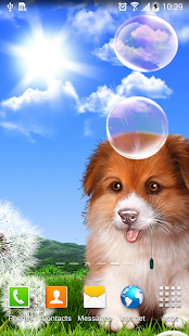 Puppy Wallpaper(圖2)-速報App