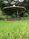Royal Hut on a Rice Field