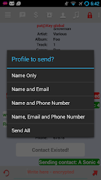 Sonic Messenger poster 6