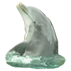 Dolphin Sticker