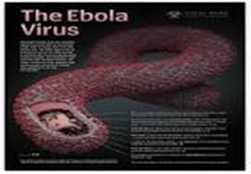 Ebola Credits:WHO