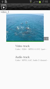 download Video Player free