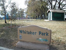 Whitaker Park