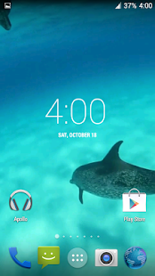 download Dolphins HD. Video Wallpaper free