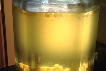 Italian Limoncello Recipe - How To Make Perfect Limoncello: