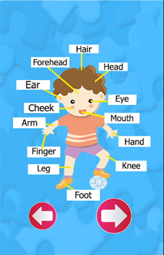 Body parts for kids english