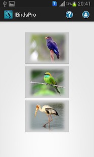 Free Download IBirds Pro APK for Android