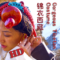 チベット豪華な服 logo