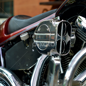 filter by Arri Alkatiri - Artistic Objects Technology Objects