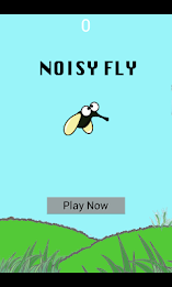Noisy Fly poster 1
