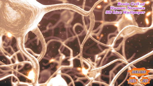 【免費個人化App】Brain Cell of Human Neurons 3D-APP點子