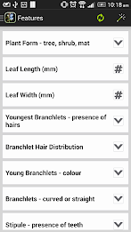 NZ Coprosma Key poster 2