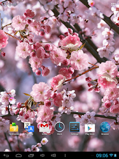 Sakura Live Wallpaper(圖6)-速報App