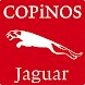 JAGUAR Classic Car App