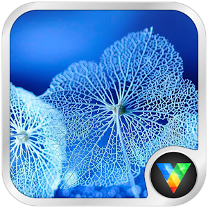 Leaf Locker LWP 5.0.5
