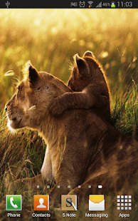 Amazing Lions Wallpapers(圖5)-速報App
