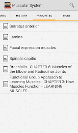 Muscular System Manual poster 5