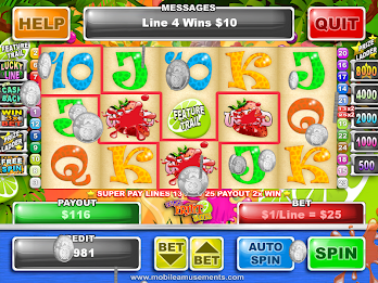 Super Fruit Slots poster 13