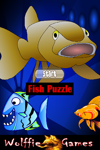 Fish Card Games Puzzles