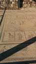 Ancient Floor Mosaics
