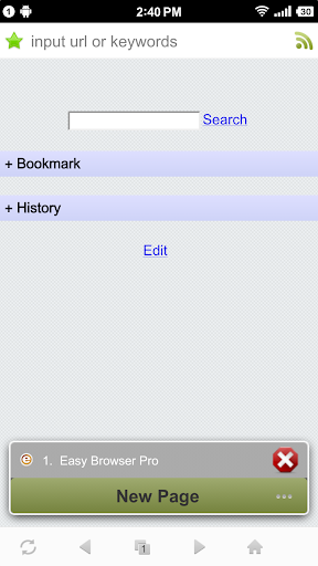 Easy Browser Pro