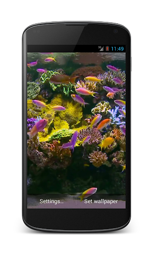 Aquarium Video Live Wallpaper