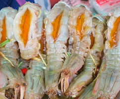 live prawn by Loh Jiann -  