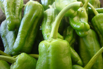 Pimientos de Padrón 