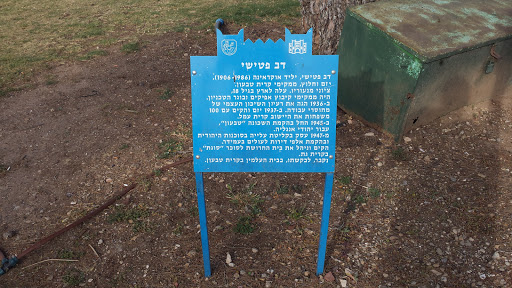 Tivon Dov Patishi Garden