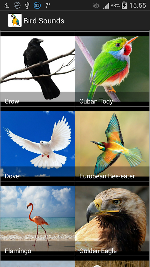 Bird Sounds Android Apps on Google Play