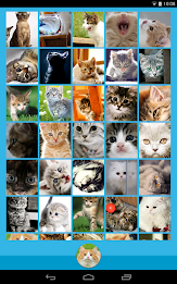 Animal Wallpapers poster 8