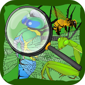 Find Hidden Stuff Game: Insect.apk 1.5