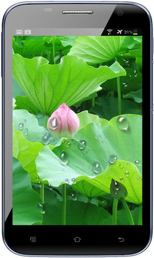 RainDrop Live Wallpaper Free