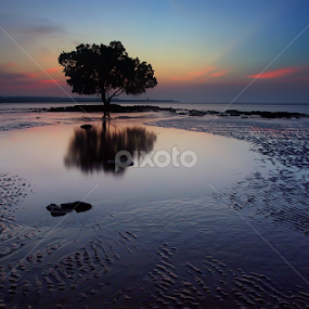 key hole of da court by Double'u Photoworks - Landscapes Sunsets & Sunrises