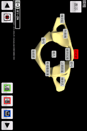 和鍼灸院式骨学R 2D poster 11
