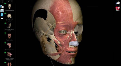 【免費醫療App】AnatomyLearning - 3D Atlas-APP點子