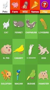 Animals