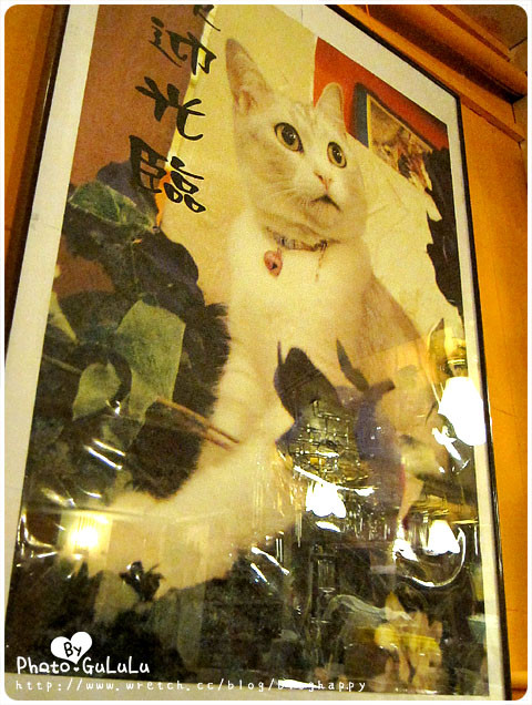 【寵物餐廳】狗狗喵喵陪你吃飯～芝山小貓花園（葷素