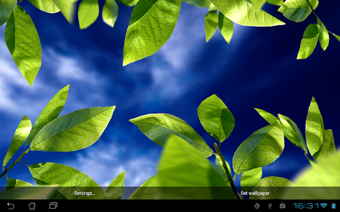 Fresh Leaves - screenshot thumbnail