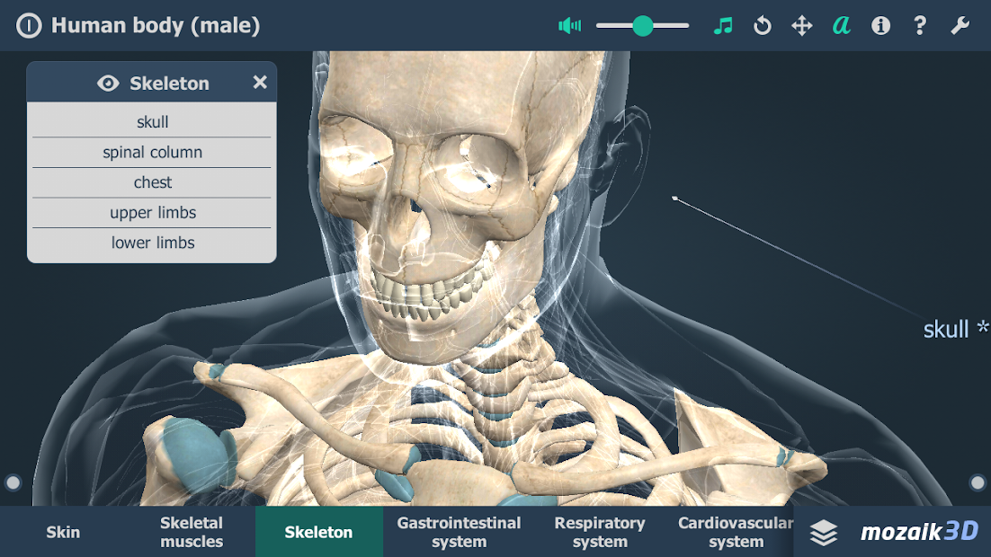 Human body (male) educational VR 3D Apps op Google Play