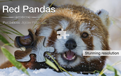 Red Panda Jigsaw Puzzles Demo poster 9