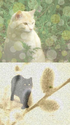 完全版 ねこ壁紙 猫キャラクター待ち受け Androidアプリ Applion