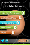 iHatch-Chickens